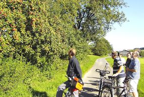 Unser Foto zeigt einen Teil der Bieter bei der Obstversteigung in Lardenbach/Klein-Eichen