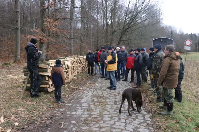 20250215-L0090001-Holzstrich Lardenbach (1) - Kopie